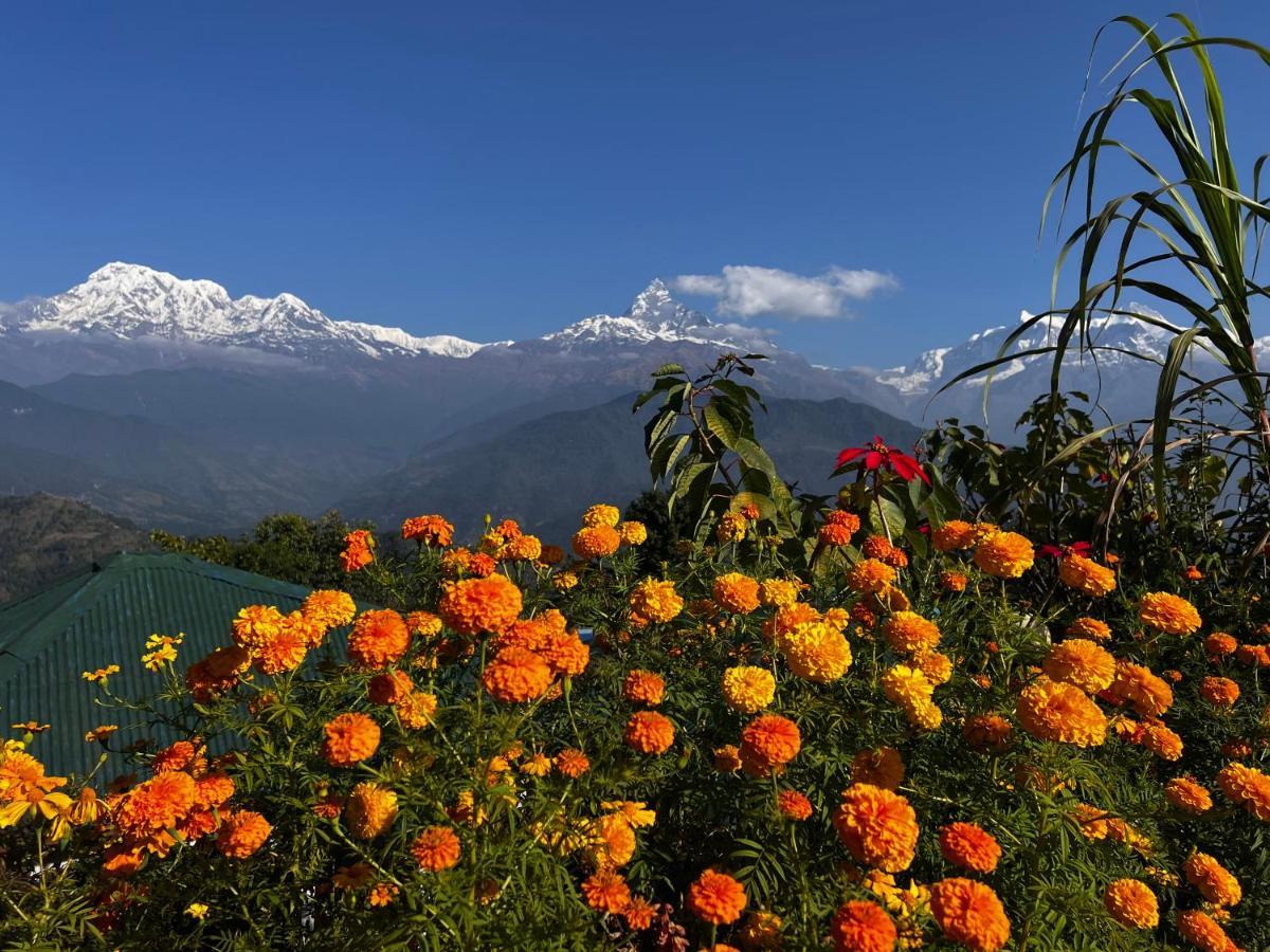 Es Deurali Resort Pokhara Zewnętrze zdjęcie