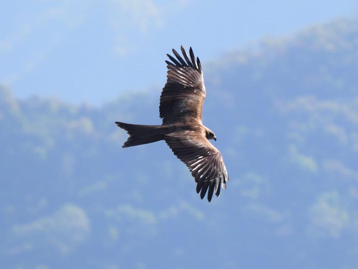 Es Deurali Resort Pokhara Zewnętrze zdjęcie